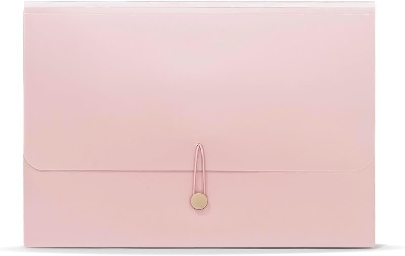 Solimo Expandable Document Folder Organiser