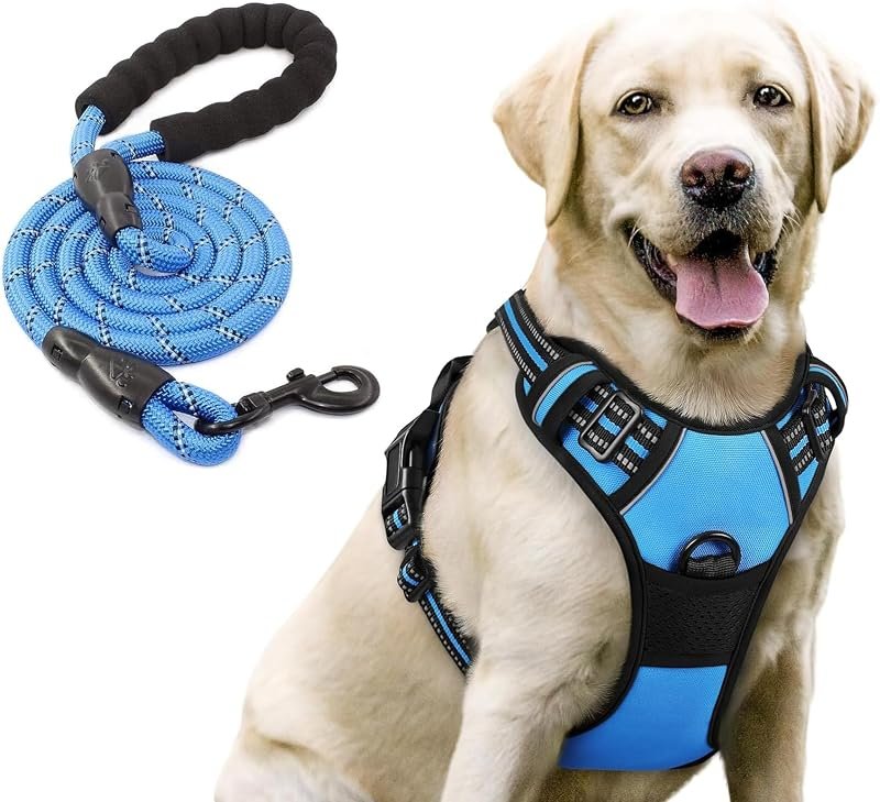 Foodie Puppies Padded Dog Harness and Leash Set